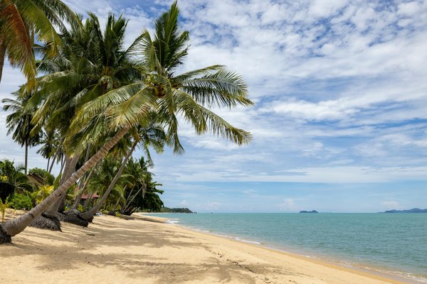 Quels sont les meilleurs spots pour observer les oiseaux migrateurs en Afrique du Sud ?