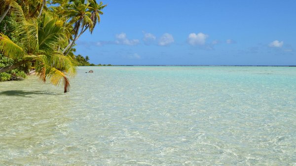 Quels sont les meilleurs spots pour la randonnée dans le parc national des Écrins en France?