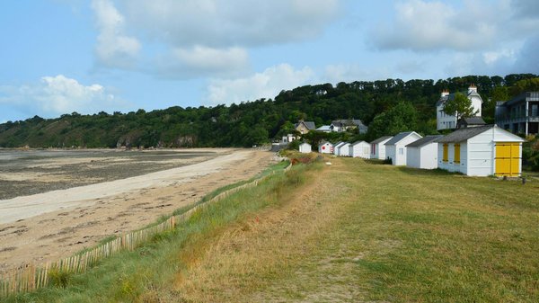 Quelles croisières offrent des séminaires sur la faune et la flore des récifs coralliens en Australie?